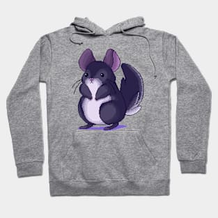 Fluffy Chinchilla Hoodie